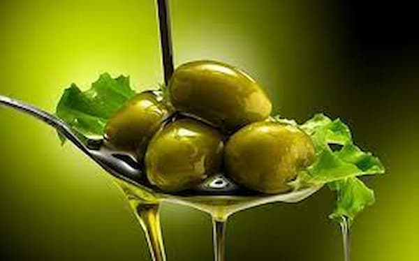 تصویر 2 از فروش روغن زیتون خالص + قیمت خرید به صرفه